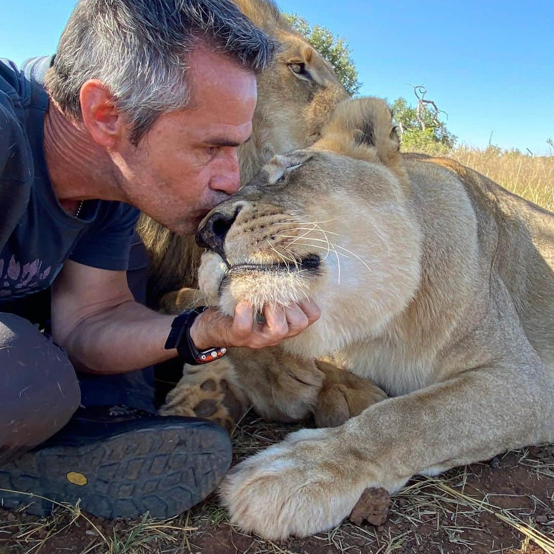 Kevin Richardson LionWhisperer のインスタグラム