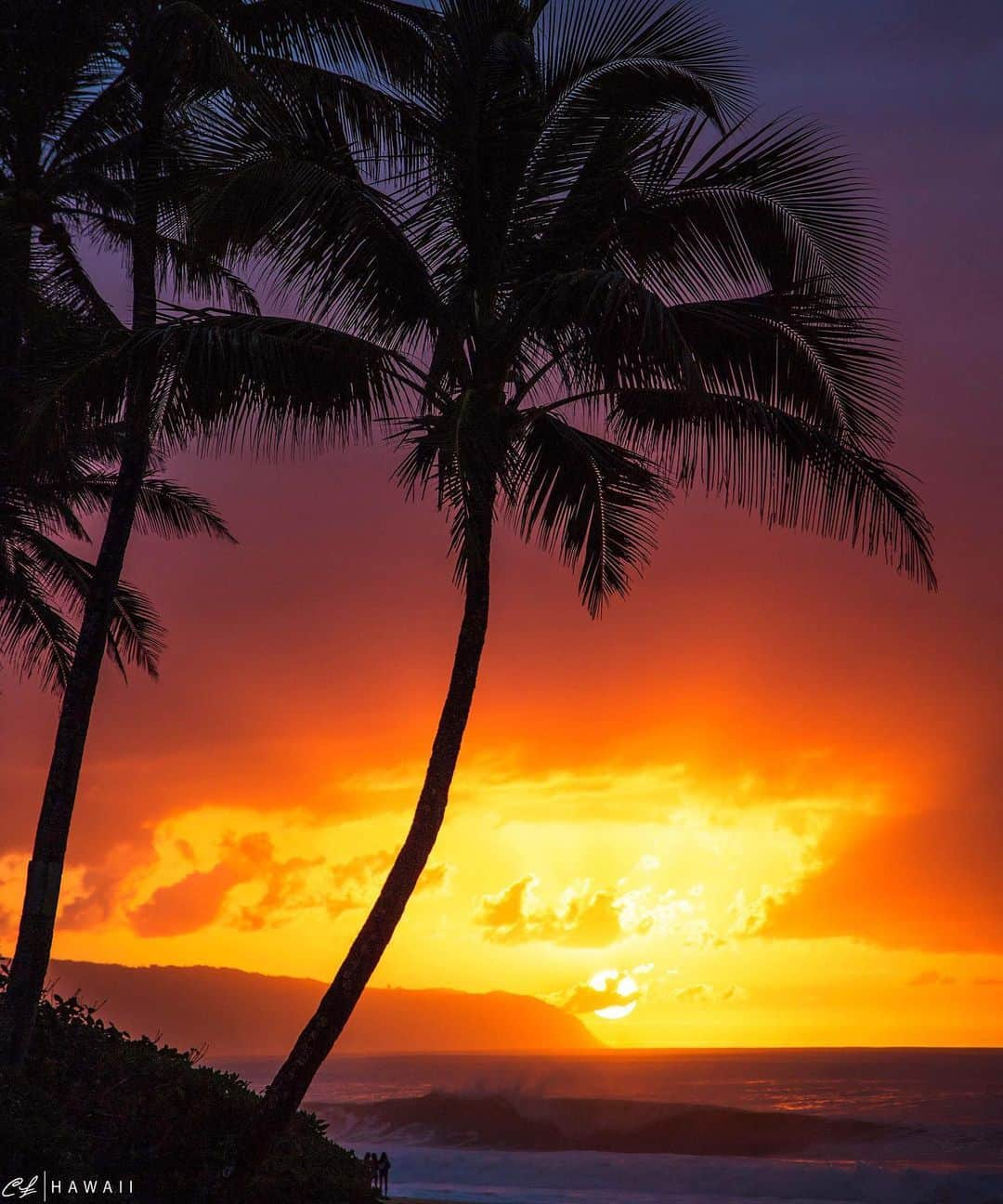 クラーク・リトルさんのインスタグラム写真 - (クラーク・リトルInstagram)「There's no place like home...😍🤙🏼 #Oahu #hawaii #paradise #northshore #clarklittle 🆑」6月19日 13時04分 - clarklittle