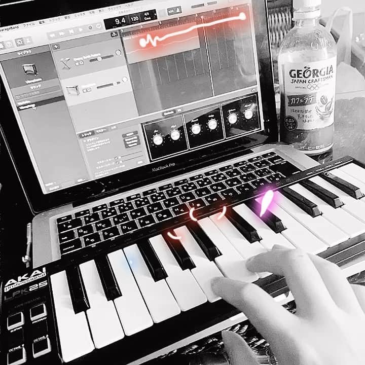 Metisのインスタグラム