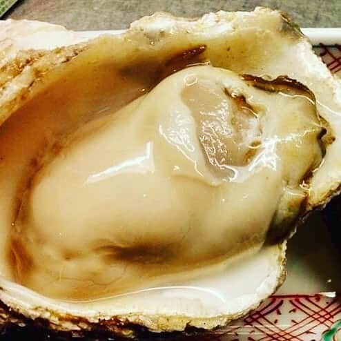 居酒屋 六度のグルメインスタ