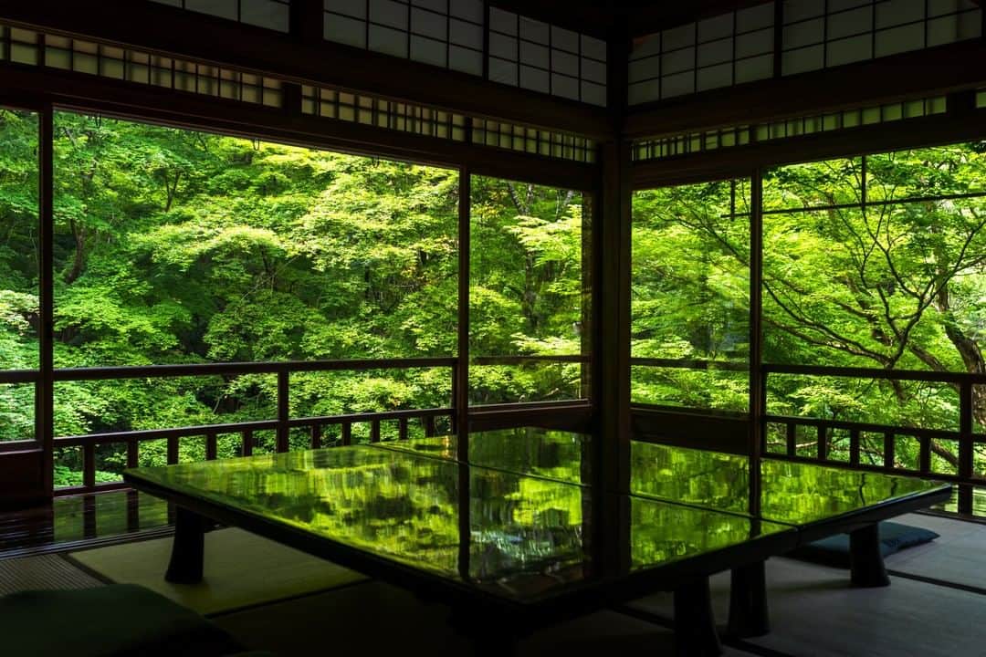 のインスタグラム：「. ＼青もみじが輝く✨瑠璃光院の絶景／ 京都市左京区にある瑠璃光院は、青もみじと紅葉の季節のみ特別公開される自然豊かな寺院✨ 今回ご紹介するのは、瑠璃色に輝く浄土の世界を表現した「瑠璃の庭」を書院の2階から臨んだ青もみじの絶景です😍 . ※写真は過去に撮影したものです --------------- 《投稿をご覧の皆さまへ》 関西電力Instagramでは、関西地方の灯、あたたかみのある風景のお届けを通して、皆さまの心に灯りがともるような癒しをお届けしてまいります。 外出の際は引き続き感染予防の徹底を心がけましょう。 --------------- . #おうち時間 #おうちじかん #うちで過ごそう #ステイホーム #神社仏閣 #寺 #リフレクション #新緑 #日本の絶景 #けしからん風景 #日本庭園 #京都の風景 #新緑の季節 #京都 #kyoto #お寺巡り #そうだ京都行こう #神社仏閣巡り #瑠璃光院 #八瀬 #loves_united_japan #ダレカニミセタイケシキ #bestphoto_japan #灯 #貴重な体験 #景色最高 #tripgramjp #best_expression_night #お写んぽ　#インスタスポット」