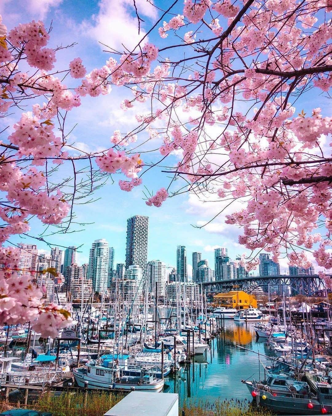 Explore Canadaさんのインスタグラム写真 - (Explore CanadaInstagram)「Today's #CanadaSpotlight is on @inside_vancouver!⁠⠀ ⁠⠀ Surrounded by sparkling ocean, towering snow-capped mountains and luscious rainforest, you'll find the beautiful city of Vancouver. Here are just a few things we love about this city:⁠⠀ ⁠⠀ ❤️ It's a gateway to adventure! There is so much to do in the surrounding areas of Vancouver, whether you're into snowsports, mountain biking, hiking or watersports, the opportunities are endless. ⁠⠀ 💙 Watching the sun set over the ocean and seeing the skyline light up in golden colours is an experience that will take your breath away!⁠⠀ 💛 Vancouver's vibrant and diverse neighbourhoods are filled with colourful murals, friendly locals and interesting architecture.⁠⠀ 🧡 An epic culinary scene, from fresh seafood and farmer's markets to wine bars and microbreweries, pleases even the most discerning of palates.⁠⠀ ⁠⠀ Tell us which photo is your favourite in the comments below and take a look at @inside_vancouver for more beautiful photos and #VirtuallyVancouver content! ⁠⠀ ⁠⠀ 📷: ⁠⠀ ⁠⠀ 1. @backyy⁠⠀ 2 & 3. @erikandersen⁠⠀ 4. @gui.de.freitas⁠⠀ 5. @joepydo⁠⠀ 6. @sjseto⁠⠀ 7. ⁠@throughkelseyslens 8. @fritzykitsy⁠⠀ 9. @roberthill⁠⠀ ⁠⠀ 📍: @inside_vancouver⁠⠀ ⁠⠀ #VeryVancouver #VirtuallyVancouver」6月20日 1時18分 - explorecanada