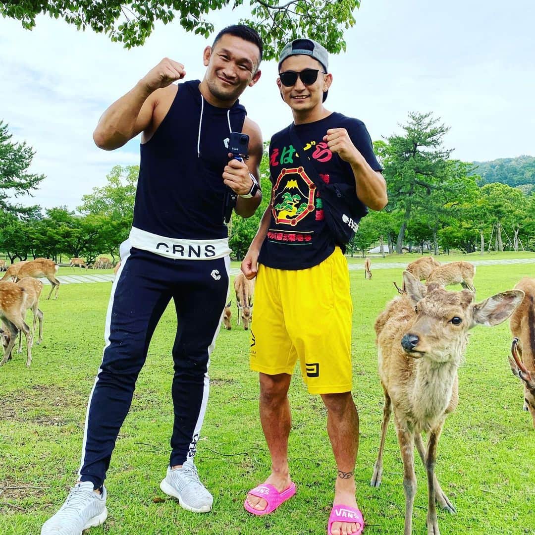 ストラッサー起一のインスタグラム：「マッチョとのYouTube撮影おもろかった！ お互い服がボロボロの泥泥に😵 次の企画の時も宜しく頼むで👍 起八も撮影おおきに👍  #YouTube #奈良公園 #鹿せんべい #プロフィールからYouTubeに飛べます」