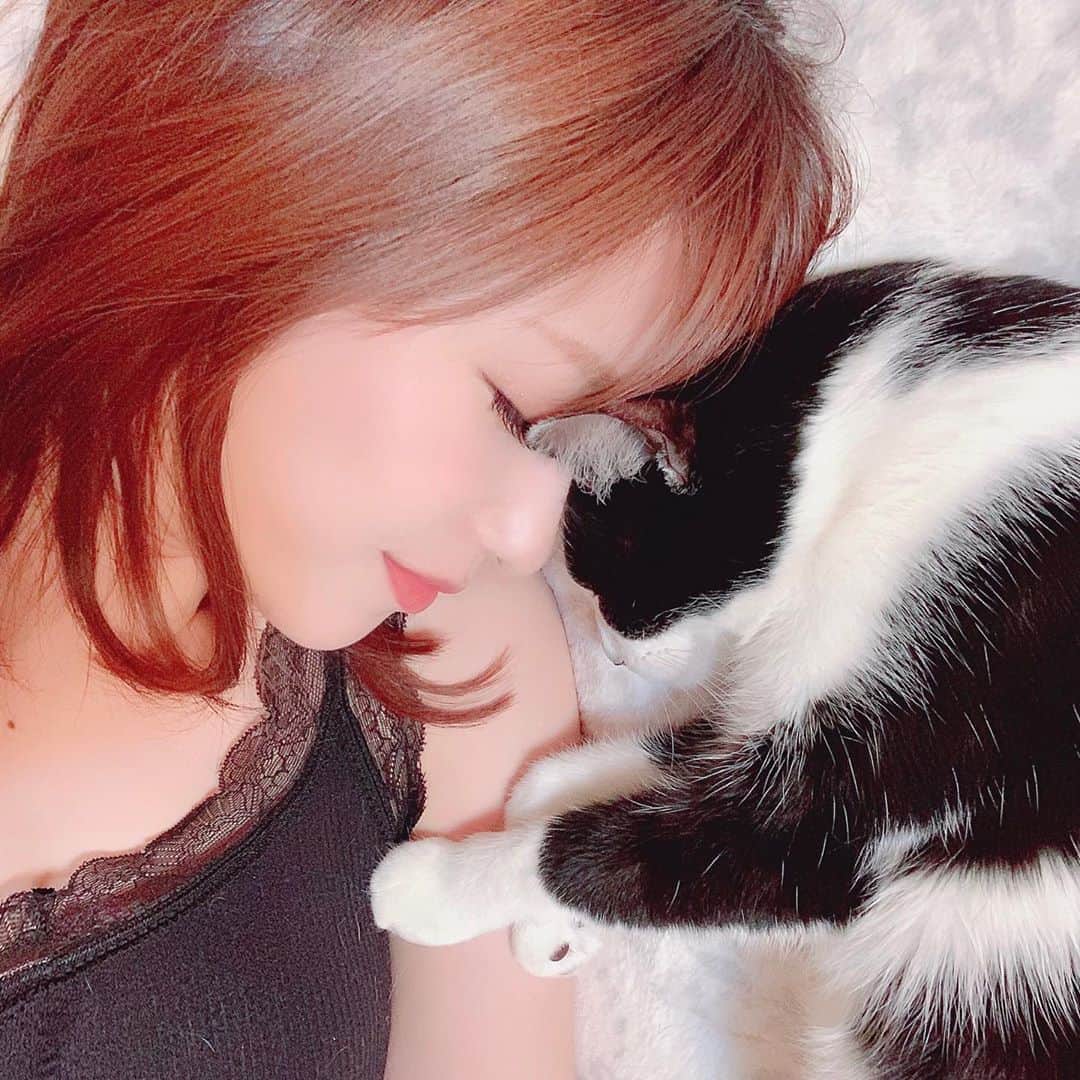 みはとのインスタグラム：「おやすみなさい🌙 ・ ・ ・ #髪染める前  #びびさん #爆睡中 #猫と寝る毎日  #寝てるとかまいたくなる #だいたいこのあと #ねこぱんち  #猫の寝顔 #天使」