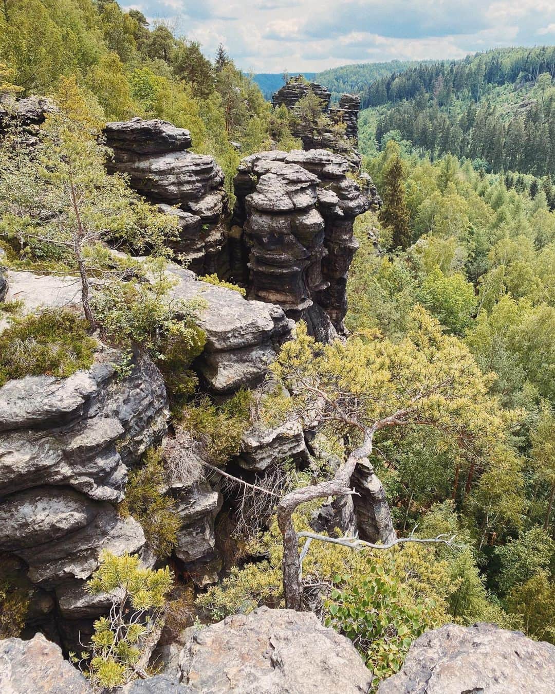 STIL IN BERLINのインスタグラム：「I spent this week hiking in the Sächsische Schweiz, a mountainous national park in the South of Saxony, about 2.5 hours from Berlin. I haven’t been there since I was a kid, even though it’s a stunning region so close by. We stayed in a cabin in a forest a bit out of the way and used our days to hike to the many natural sights of the Elbsandsteingebirge. The area is rugged, with forests and meadows, and the Elbe river breaking through creating impressive valleys, and imposing rock formations. The forests are wide and deep, with moss and ferns, and many hiking paths, more or less well marked. Since the region is not very large, it can get really crowded on weekends, but during the week many paths are almost empty and you’ll have the streams and caves to yourself. Aside from the millions of ticks (which might be a 2020 issue) it’s great for dogs who like adventurous hikes with many rocks to jump and pastures to race across.  I’d love to recommend this one wholeheartedly as a great way to get out of the city and into nature for a short while, but I can’t not mention that this is also an area infested with right wing extremism. Not only does the majority of the locals vote for either AfD or NPD (the even more extremist and older right-wing party), but it’s also the birthplace of one of the most violent neo-nazi groups, and racist incidents and attacks happen almost weekly. Just last month, a couple has been attacked with antisemitic slurs on one of the major sights, the Bastei bridge. So no, we didn’t encounter many PoC among the visitors or locals, however, friends of mine went and said they had no negative experiences. I appreciate if you decide to share your own experience as a PoC in the comments so we can all try to assess the situation.  There are a couple of local anti-racist NGO organisations you can support, like AKuBiZ e.V., the AG Asylsuchende, and Support by RAA Sachsen e.V., who are offering consulting and help. It’s a grim situation in my home state, which makes my heart heavy because this place is so stunning and recreational, I wish it was accessible for more people.」