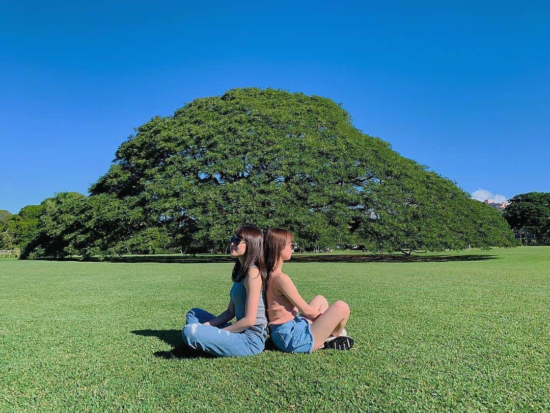kawaiihawaiitourさんのインスタグラム写真 - (kawaiihawaiitourInstagram)「ハワイ州は、本日木曜、18人の新規感染者がでました。ここ2ヶ月で1番多くの感染者がでた日だったようです。現在のところ、今までに感染した人は、762人で640人はすでに回復しています。今日は、この木なんの木、日立の樹です。互いに向き合っての写真もカワイイですよね。当社では、お客様が行きたいところを自由に選んでもらって好きなようにツアーが回れます‼️ --------------------------------------------------------- ✴︎今日の言葉✴︎ 人生は芝居のごとし、上手な役者が乞食になることもあれば、大根役者が殿様になることもある。とかく、あまり人生を重く見ず、捨て身になって何事も一心になすべし(福沢諭吉) --------------------------------------------------------- ❤️Kawaii Hawai'i Tour / カワイイ・ハワイ・ツアー ❤️✨🌈プラン🌈✨ (ハワイ州政府公認会社 PUC 497-C) ✔︎日本人経営 日本人ガイド付きツアーなので安心️🏝✨😎👍🏽 ✔︎あなただけのオリジナルツアーが作れます ✔︎初ハワイ満喫コース、オススメスケジュールご用意しています‼︎ ✔︎ガイドブック派？それともローカル体験派？ ✔︎なんでもご相談下さい 💁🏽‍♂️💁🏽☀️🏝✨😎👍🏽 ✔︎お写真もたくさんお撮りします🤳 -------------------------------------------------------- お客様の笑顔が私達の笑顔をモットーにツアーをさせてもらっています🚙🚖🚘 ------------------------------------------------------ #ハワイ #hawaii #カワイイハワイハワイツアー #カカアコウォールアート  #コロナ　#ファインダー越しの私の世界 #ダイアモンドヘッド  #カカアコ #ハワイ好き #ラニカイビーチ #天国の海 #ハワイウェディング #ハワイ行きたい #ハワイツアー #インスタ映えスポット  #ハワイチャーターツアー #ハワイオプショナルツアー #ハワイ旅行 #ハワイ女子旅 #モアナルアガーデン  #カイルア #ハレイワ #アウラニディズニー 　#日立の樹　#ホノルル　#ワイキキ #ハワイ挙式 #ハワイ好きな人と繋がりたい #ハワイコロナ #この木なんの木」6月19日 18時01分 - kawaiihawaiitour