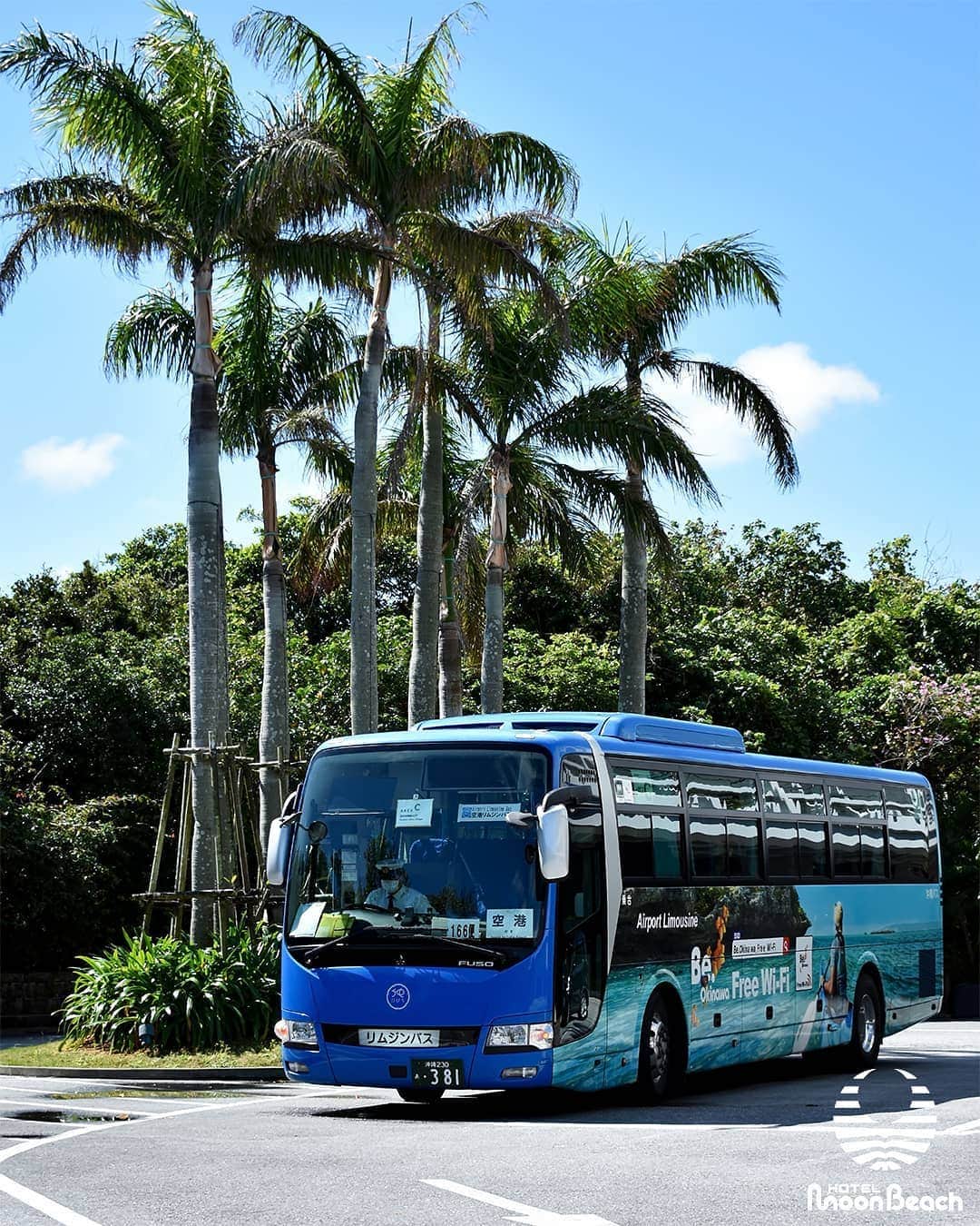 ホテルムーンビーチさんのインスタグラム写真 - (ホテルムーンビーチInstagram)「沖縄バスさんが運行する空港リムジンバスは、本日よりホテルムーンビーチを発着する一部便の運行を再開いたしました。なお発着時刻等は沖縄バスさんのホームページにてご確認下さいませ。(写真は3月2日撮影) #沖縄 #恩納村 #沖縄ホテル #沖縄リゾート #沖縄観光 #沖縄旅行 #沖縄ビーチ #インフィニティプール #沖縄好き #沖縄好きな人と繋がりたい #ホテルムーンビーチ #ムーンビーチ #ムーンビーチホテル #okinawa #onnason #okinawabeach #okinawahotel  #okinawatrip #okinawasunset #okinawalikes #okinawalabo #okinawa_life #hotelmoonbeach #moonbeach #moonbeachhotel #docomomo #japan #visitjapanjp #visitokinawa #okinawajapan」6月19日 18時13分 - themoonbeachmuseumresort