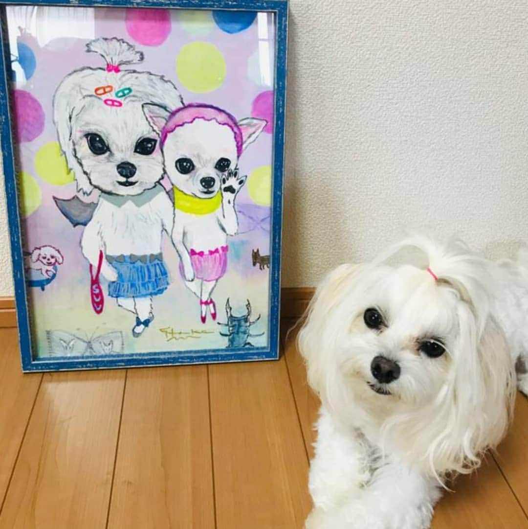 タンゲクンのインスタグラム：「☔️のこんな暗い日は ぱ～っとした気持ちになって見る？明るい絵でって 💥なれるか！part3  イロハちゃんスゥちゃん勝手にコラボはスゥ氏の宅に結局行きました😁🙏 偶然友人と言うことで嬉しくおもいます、、 #にて隊 #にて隊ばんぷきん組  #にてた  ヘラヘラ隊員かしこまる💕」