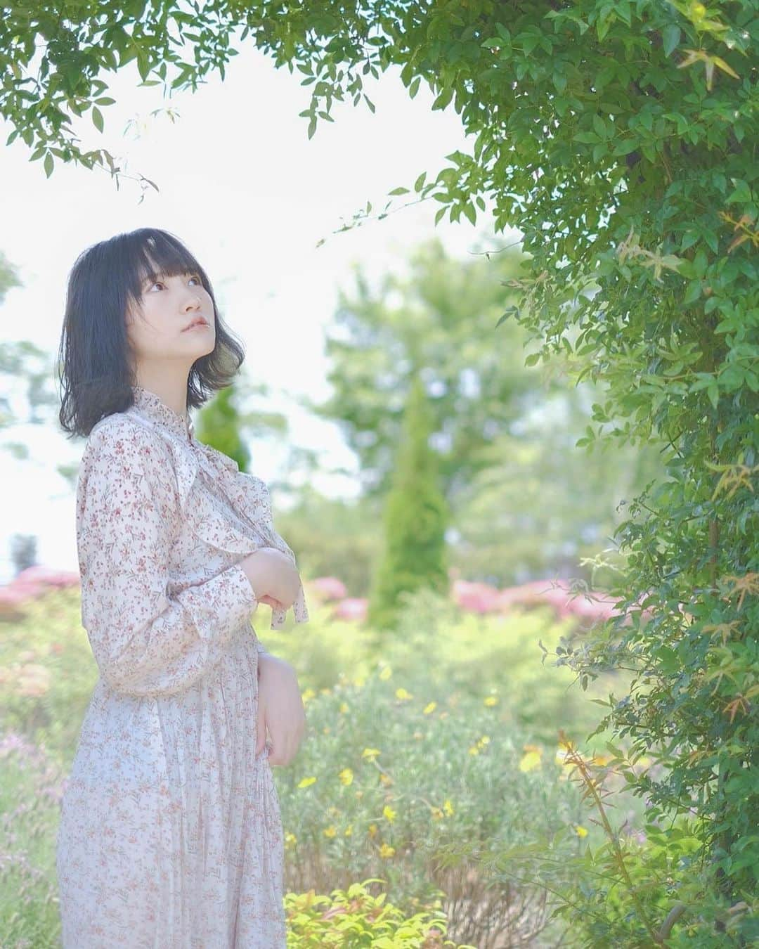 そよんさんのインスタグラム写真 - (そよんInstagram)「🌿🌿🌿 . . . . .  #作品撮り #ポートレート #ポートレート撮影 #ポトレ #ポトレ女子 #ポートレート女子 #ポートレートモデル #ポートレートモデル募集 #ポートレートしま専科 #撮影会 #撮影会モデル #カメラマン募集 #写真好きな人と繋がりたい #被写体 #被写体になります #被写体モデル #カメラマンさんと繋がりたい #撮影依頼募集中 #自然 #お写んぽ #緑 #ポートレートしま専科 #portrait_shot #good_portraits_world  #ワンピース #白ワンピ」6月19日 18時20分 - soyon_1231