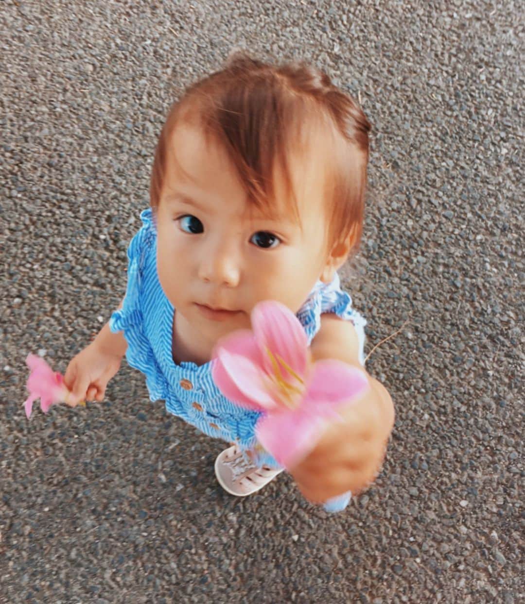 高橋菜摘のインスタグラム：「あい、どぞ🌸 . I like flowers♡ おはなだいすき🌼 こうえんさんぽ いろんなおはなととったよ . . . #1歳 #1歳女の子 #お花大好き #女の子ベビー #女の子ママ #女の子コーデ #ママリ #1歳8ヶ月 #ベビーモデル #ベビフル #公園コーデ #紫陽花」