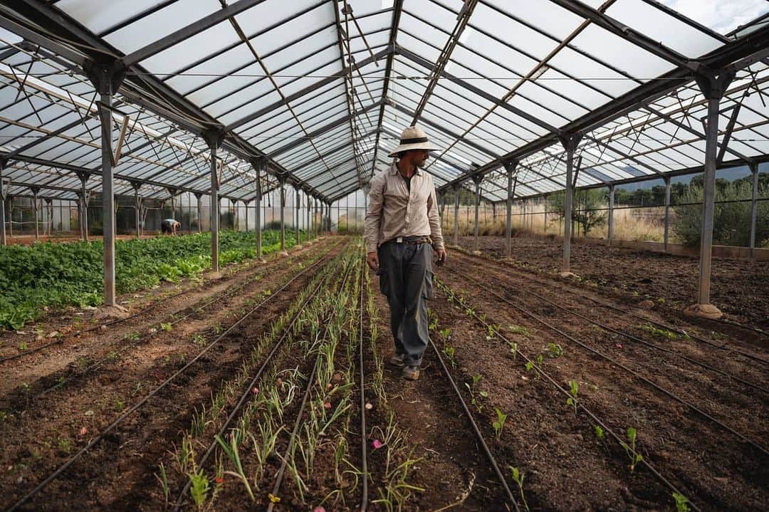 National Geographic Creativeさんのインスタグラム写真 - (National Geographic CreativeInstagram)「Photo by @pepbonet_noor | Jaume Catany is a farmer working at Circle Carbon Labs, a research and development facility for biochar-based soil regeneration and carbon sequestration products and services. They grow food and develop the “Super Soils” of the future, today in Bunyola, Mallorca. @circlecarbonlabs」6月19日 18時56分 - natgeointhefield