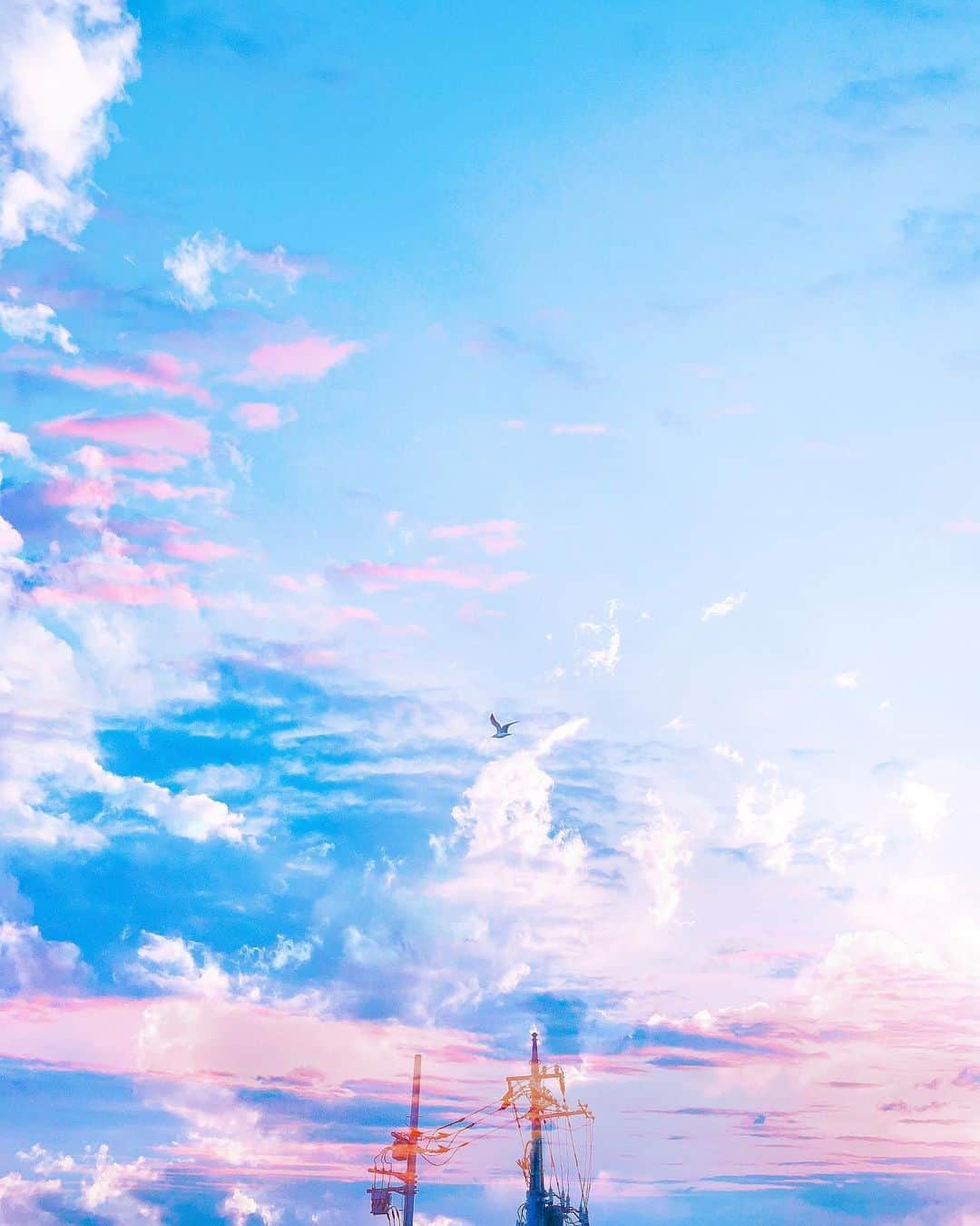 国分真央さんのインスタグラム写真 - (国分真央Instagram)「. 空の中を彷徨ったあの日」6月19日 19時03分 - mao_kokubu