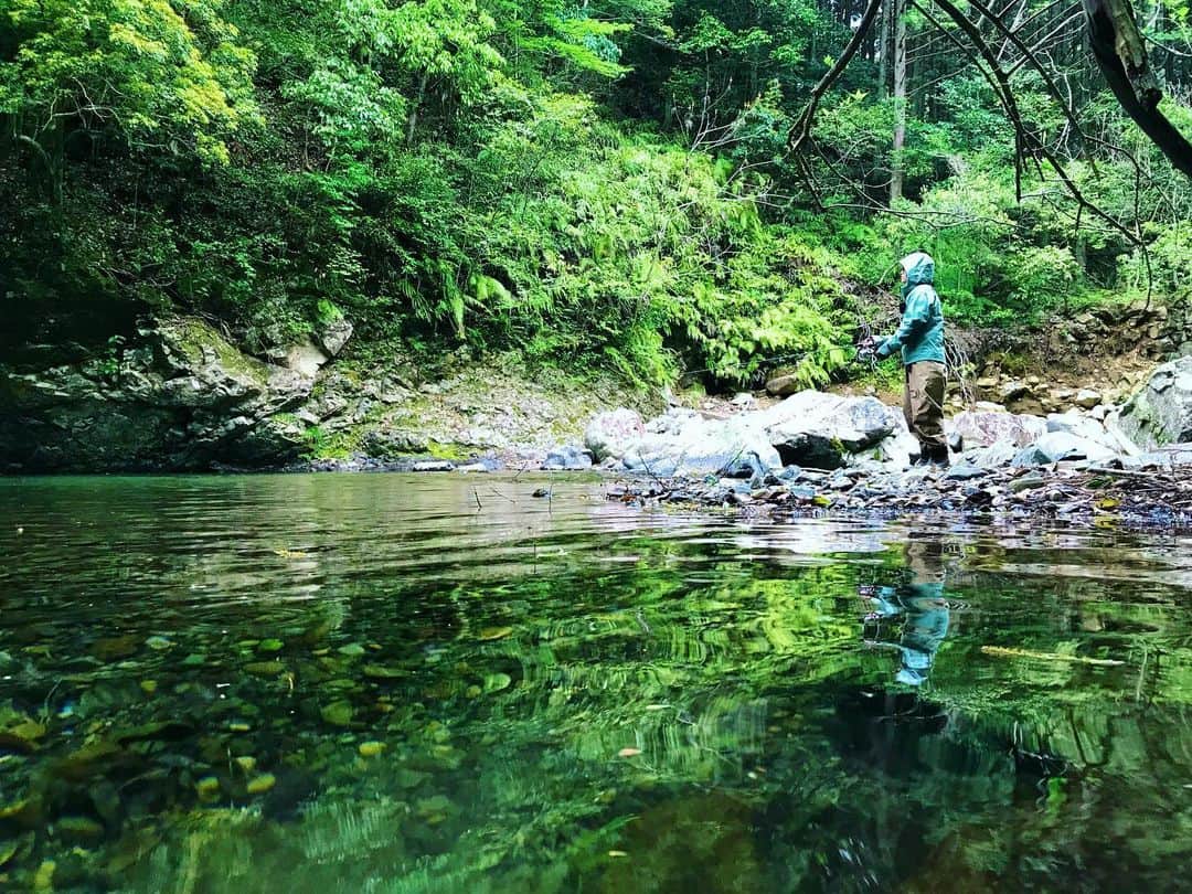 秋丸美帆さんのインスタグラム写真 - (秋丸美帆Instagram)「緑いっぱいの世界で、水の音や鳥達の声をBGMに釣りをする。これぞ、贅沢の極み！日暮の鳴き声が待ち遠しいな😊 .  #fishing #fish #river #naturephotography #nature #渓流 #釣り #山 #川 #自然 #渓流釣り」6月19日 19時18分 - mippy34