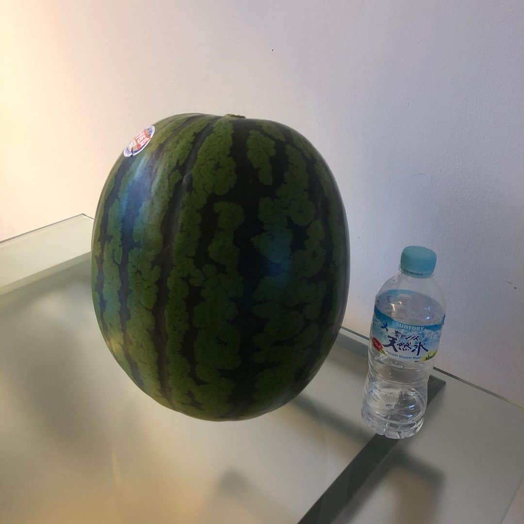 のインスタグラム：「ドバイ王室献上の”大栄西瓜”が届きました🍉 @hayatosurf  写真をスワイプ→ 大きい‼️ 持つとなおさら大きさがお分かり頂けるかと😁 写真をスワイプ→ まぁまぁ重いよね💦 写真をスワイプ→ 大きいだけじゃなくてマジで甘い”大栄西瓜” 写真をスワイプ→ 生産者さんも自信を持って作っているので1人でも多くの人に知って貰いたい気持ちが伝わって来ますね😊 写真をスワイプ→ つか最後の写真… @hayatosurf やり切ってます🤣」