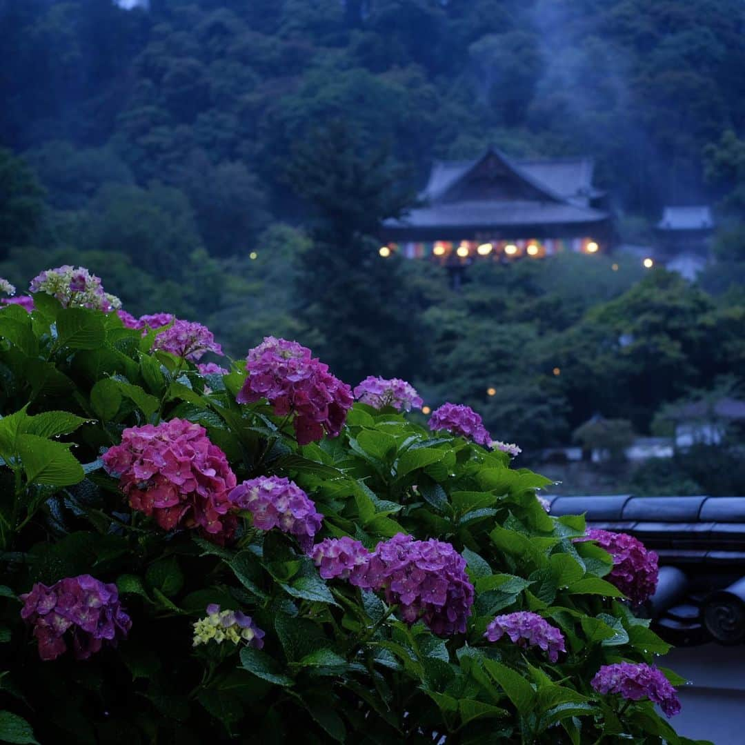 奈良 長谷寺 / nara hasederaさんのインスタグラム写真 - (奈良 長谷寺 / nara hasederaInstagram)「※お知らせ  長谷寺IG監修２作目、#だだ鬼ふせん ができました。毎年2/14の#だだおし の鬼👹を#とんぼせんせい にデザインしてもらった#付箋 です。赤、青、緑の鬼がとても愛らしいですね。 #紫陽花 も見頃を迎え、お参りもしやすくなったのではないでしょうか？  We made a new #stickynote with the image of a @hase_dera demon. The red blue and green demons are very cute. And #hydrangea is now in full bloom, making it easier to come.  #長谷寺 #奈良長谷寺 #総本山長谷寺 #花の御寺 #奈良 #hasedera #hasederatemple #temple #japan #japanesetraditional #pilgrimage #nara #tourism #sightseeing #japanesetemple #西国 #西国三十三所 #霊場 #巡礼 #四寺巡礼 #長谷寺が好き #ノート #モレスキン」6月19日 20時01分 - hase_dera