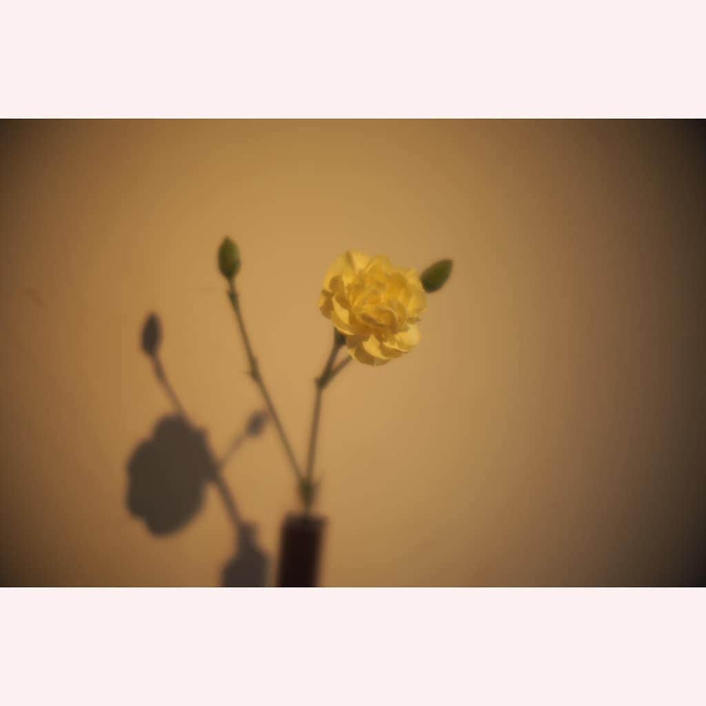 花澄のグルメインスタ