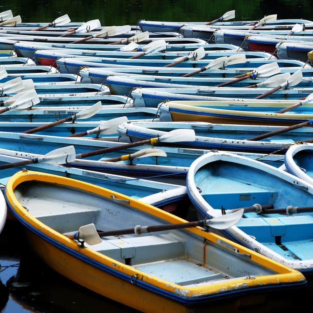naotakeのインスタグラム：「ボート - Boats / X-T2 & Snapseed, 20200620 . . 新しいマットを購入。より良い眠りが得られるといいな。 . . #2_fineart #spicollective #rsa_main #tokyocameraclub #東京カメラ部 #infinity_photo_cult #jp_gallery_member #ig_energy #sceniclocations #team_jp_ #igersjp #igrsjapan #rsa_streetview #royalsnappingartists #rsa_mycity #thislifetoday #infamous_family #explorejapan #japan #igers #jp_views #ig_fotogramers #photooftheday #streetphotography #今日もx日和 #fujifilm」