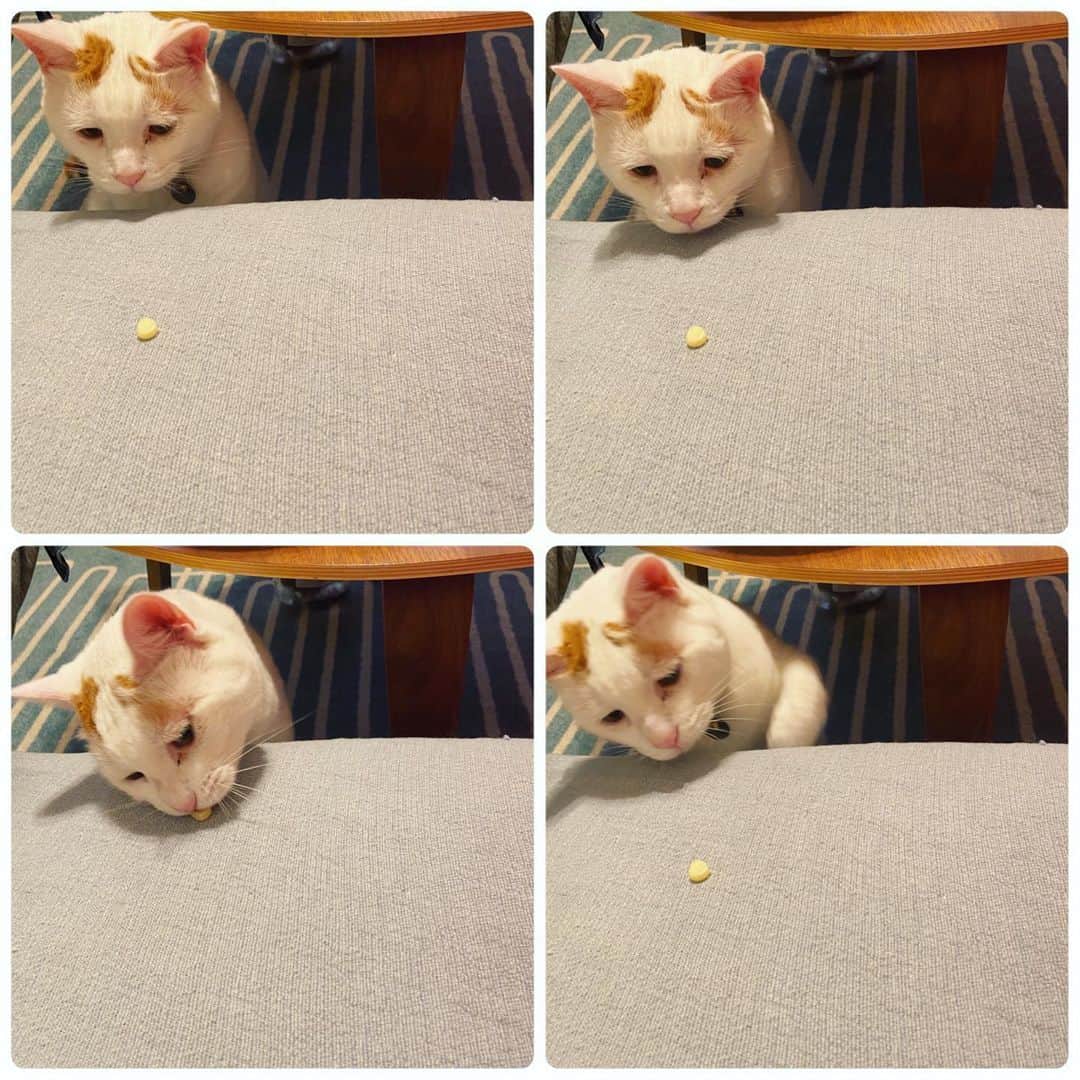 kumikoのインスタグラム：「一粒お裾分け。」