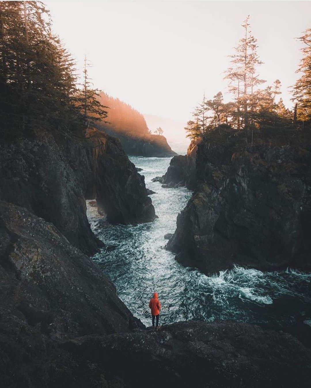FOLKのインスタグラム：「We all have those people in our lives that inspire us, motivate us, and in many ways mold us to be better people. Who has been that person for you? Photo by @allanpuls. Graphic by @farmgirlsk」