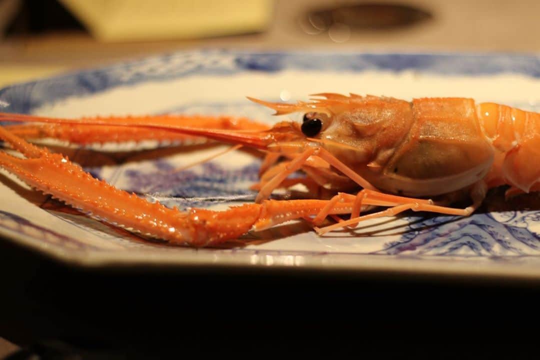 高井直子のグルメインスタ