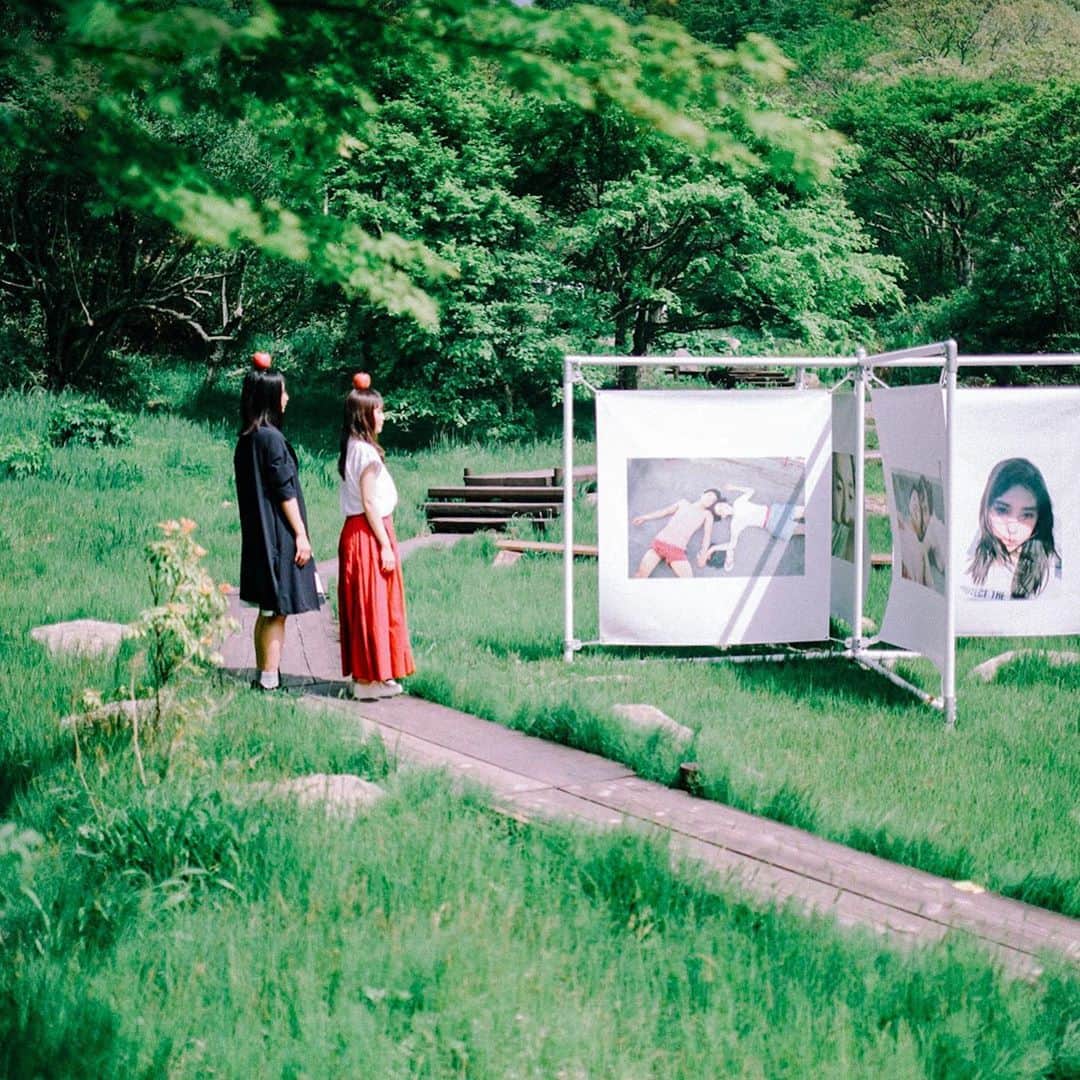 hiderin777のインスタグラム：「🌳🌳🌳 森を歩いてると、 川島小鳥さんの写真が。 . 「未来ちゃん」でお馴染みの小鳥さんのアカウントが少し前に開設されてるので必見です🍎 .」