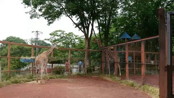 松山航大のインスタグラム