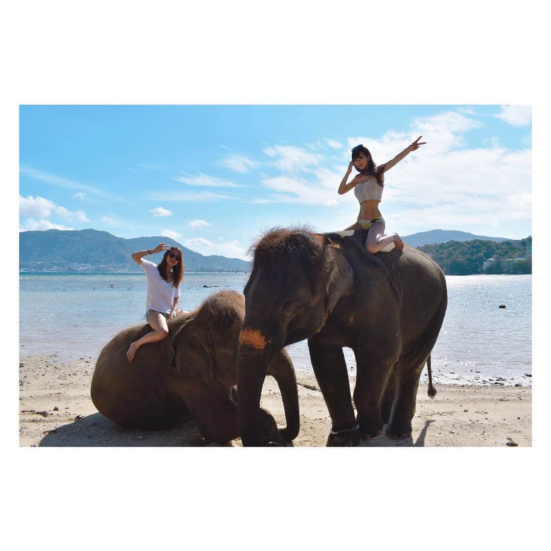 有馬奈那さんのインスタグラム写真 - (有馬奈那Instagram)「笑顔だけど結構高くて怖かった😂笑 . . #モデル #model #薬学部 #pharmacystudent #女子大生 #グラビアアイドル #旅行 #海外旅行 #trip #travel #タイ #thailand #タイ旅行 #プーケット #phuket #プーケット旅行 #phukettrip #プーケット観光 #象 #ぞう #elephant #象さんビーチ #象乗り #象乗り体験 #japanesegirl #タビジョ #좋아요 #instagood #フォロワー募集中 #有馬奈那」6月19日 21時21分 - nana_arima