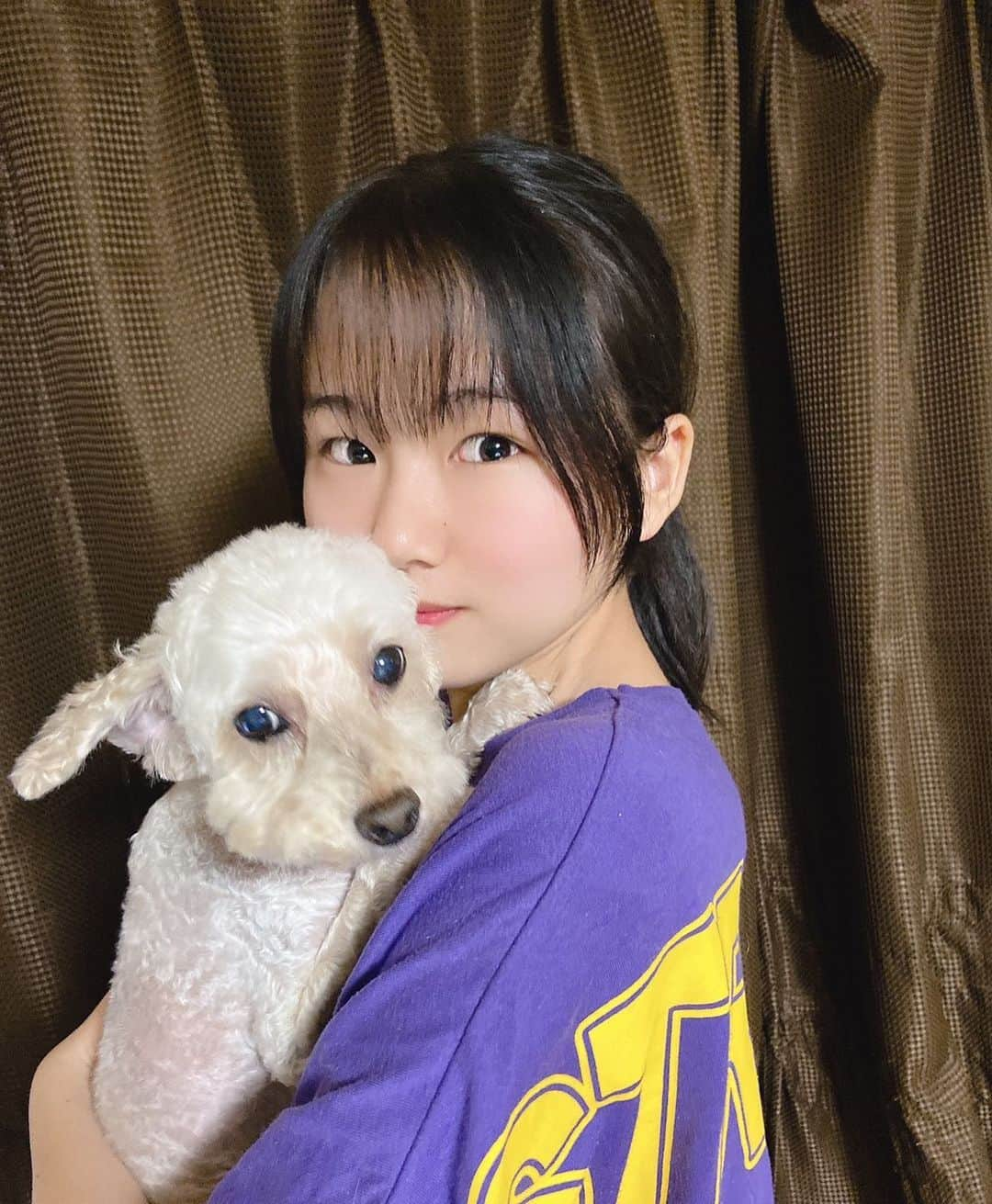 みのり（民謡ガールズ）さんのインスタグラム写真 - (みのり（民謡ガールズ）Instagram)「#チャチャ 🐶  #民謡ガールズ #みのり #犬 #いぬ #わんちゃん #dog #animal #動物 #トイプードル #トイプードル男の子 #ペット #家族 #紫 #黄色」6月19日 21時44分 - wawawa_minori