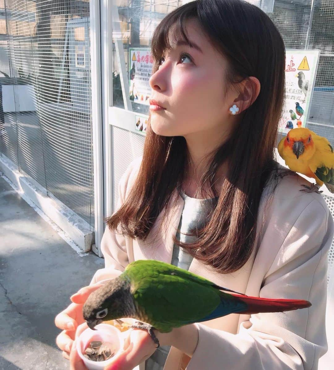 早田悠里子さんのインスタグラム写真 - (早田悠里子Instagram)「過去pic🌈  静岡にある掛川花鳥園🦆 鳥好きにはたまらない😌 動物園行きたいなあ🐘🦓 . #掛川花鳥園  #上空に大量の鳥さんが飛んでます #肩のインコさんがカメラ目線 #鳥好きさんと繋がりたい  #動物園  #zoo #静岡観光」6月19日 21時54分 - yurikohayata