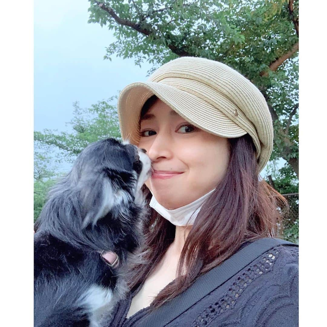 中野公美子さんのインスタグラム写真 - (中野公美子Instagram)「ルーナとお散歩🐶💕 #お散歩 #チワワ #chihuahua  #チワワ10歳 #チュウ #お散歩 #吉娃娃」6月19日 21時50分 - kumikorion