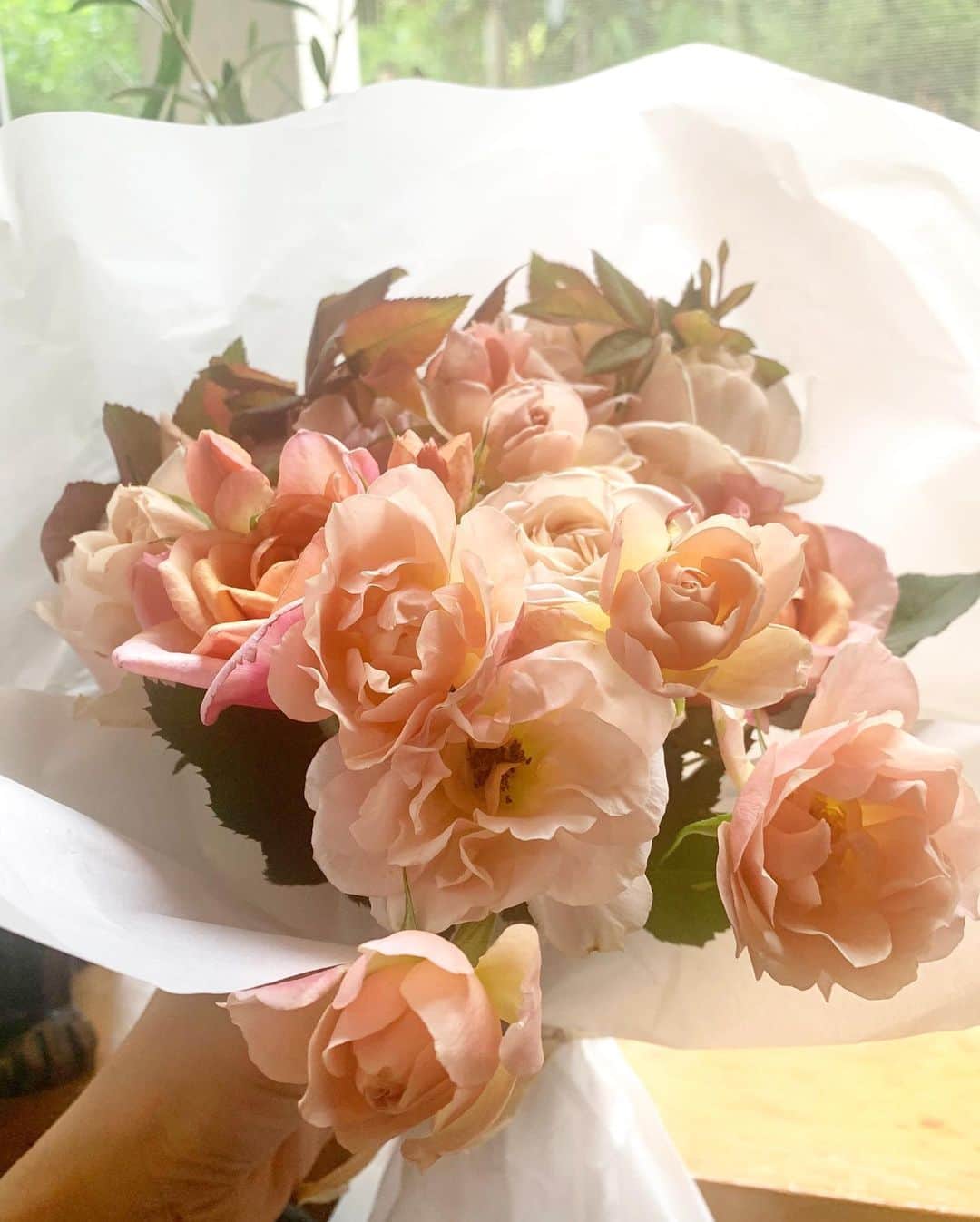 坂本美雨さんのインスタグラム写真 - (坂本美雨Instagram)「6月11日、アルバムのリリース日、 たまたま朝なまことケンカをして、怒りすぎた自分に情けなくなりながら過ごしていたところ、ピンポーンとチャイムが。 配達員さんから手渡された箱を開けるとふわっと優しい香りが漂い、丁寧にくるまれたブーケを手にしたとたん、ギュッと張り詰めていたものがほどけ、うれしくてぽたぽた涙がこぼれた。 “おかあさん”こと要一郎さん @yoichiro_aso から届いた、アルバム発売のお祝いの花は、すこし前にわたしたちの会話にのぼっていた、「ローズファームケイジ」 @rosefarmkeiji の國枝啓司さんが生んだオリジナル品種の和ばら。  可憐で、上品で、 見るたびに話しかけたくなる愛おしさ。 . #wabara  #wabararoses 2枚目は #なまこ写」6月19日 21時56分 - miu_sakamoto