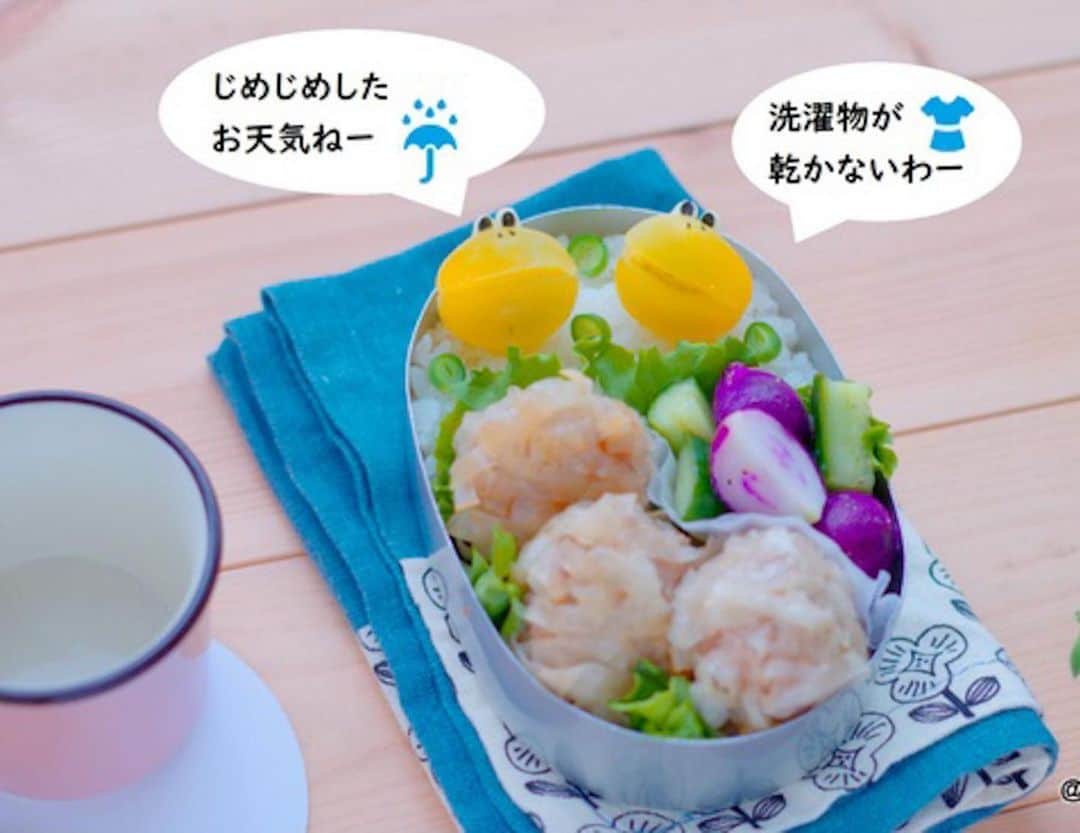 maki ogawaさんのインスタグラム写真 - (maki ogawaInstagram)「黄色いトマトの﻿ トップと横に切り込みを入れて﻿ カエルくんにしてみました。﻿ ﻿ 今日は🐸くん、大喜びの雨ですが、　﻿ 洗濯が乾かなくて困ります。﻿ 暑いのも嫌だけど、雨もいやですね😞﻿ ﻿ さて、今日のメインのおかずは﻿ 簡単シュウマイ。﻿ 具は豚ひき肉と玉ねぎだけ。﻿ ﻿ いつもは﻿ お肉:野菜=2:1の割合で作るのですが、﻿ 今日は2パターン作ってみました。﻿ いつもの﻿ お肉:野菜=2:1﻿ と﻿ お肉:野菜=1:1。﻿ ﻿ 熱いうちは﻿ どちらの食感にもあまり差はなく、﻿ 豚の脂の甘味が強いか﻿ 玉ねぎのみずみずしい甘味が強いか﻿ の差。﻿ お好みですね。﻿ ﻿ そして、　﻿ 完全に冷めたものになると、﻿ ひき肉多めに軍配が上がります。﻿ 玉ねぎ多めの方はややパサつきを感じました。﻿ ﻿ 個人的な見解ですが、﻿ 豚の脂の融点(脂が溶ける温度)は33°から。﻿ 冷めたシュウマイの脂が、﻿ 口に入れた時に口の中の温度で溶けて、﻿ 柔らかく感じるのかもしれません。﻿ (ちなみに鶏肉の融点は30°、牛肉は40°、﻿ だから牛肉は冷めると﻿ 硬くなってしまうのですね。)﻿ ﻿ ﻿お弁当用のレシピと 普段のご飯レシピ、 若干違うのもなかなか興味深いですね。  #foodstagram #lunch #Japanese_food #japanfood #yummy #obento  #bento #decoben #bentoexpo #キャラ弁#japanesecuisine  #japanesebento #お弁当記録 #料理好きな人と繋がりたい #おべんとう記録 #おべんとう作り楽しもう部 #お弁当 #bentomaker #bentolover #おべんたぐらむ #ママリクッキング #息子弁当 #高校生弁当 #かわいいお弁当 #簡単キャラ弁 #カエル#cutebento #cutebentobox」6月19日 22時01分 - cuteobento