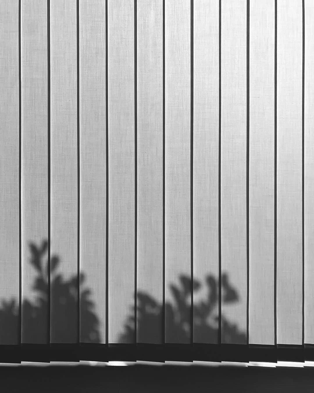 のインスタグラム：「. Photoshopのcamera RAWが使いやすくて使ってたのにアップデートでUIが物凄く使いにくくなってしまった、、 スマホアプリのUIに寄せてる感じがして悲しい、、😭 .」