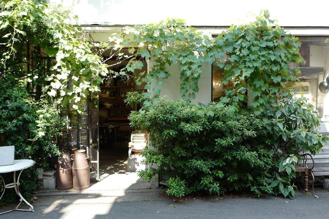 石井輝明のグルメインスタ