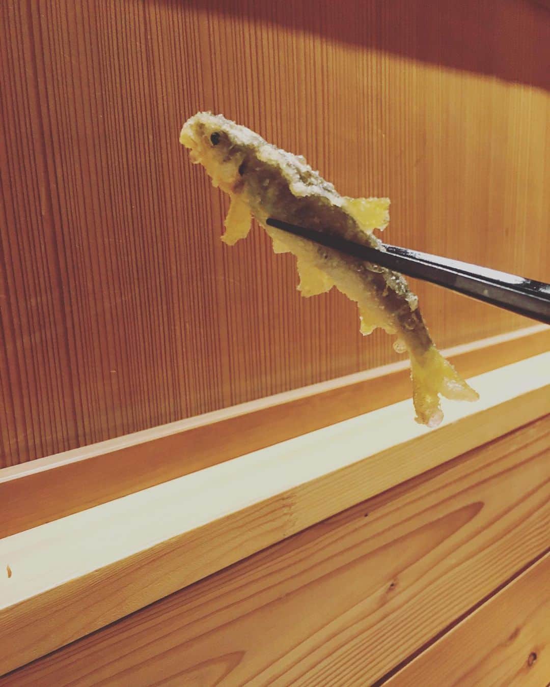 猫沢エミのグルメインスタ