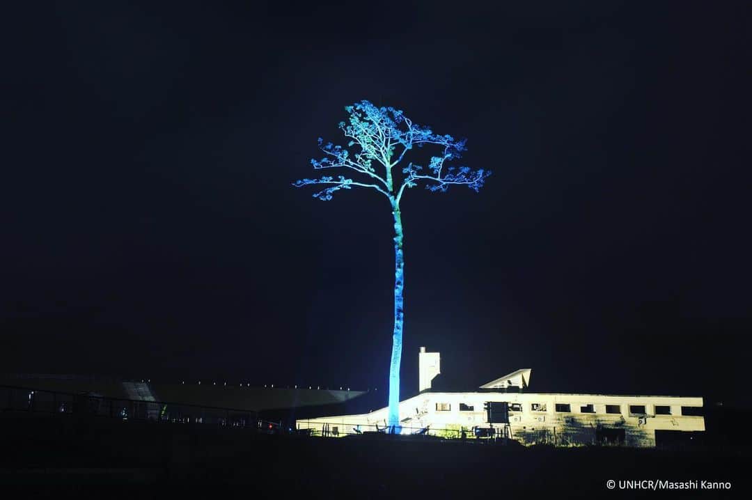 雅-MIYAVI-さんのインスタグラム写真 - (雅-MIYAVI-Instagram)「Miracle pine tree (奇跡の一本松) in Rikuezentakata which survived the big earthquake & Tsunami that occurred in 2011 being lit in UN blue to show support for #WorldRefugeeDay. Very beautiful and strong. More monuments will be lit on June 20th all over Japan 🇯🇵 陸前高田にある奇跡の一本松が「世界難民の日」に合わせ、国連ブルーにライトアップされました。美しさと同時に力強さを感じさせられます。その他、日本全国のモニュメントでも実施されています。是非！📸 https://www.unhcr.org/jp/wrd2020」6月20日 0時25分 - miyavi_ishihara