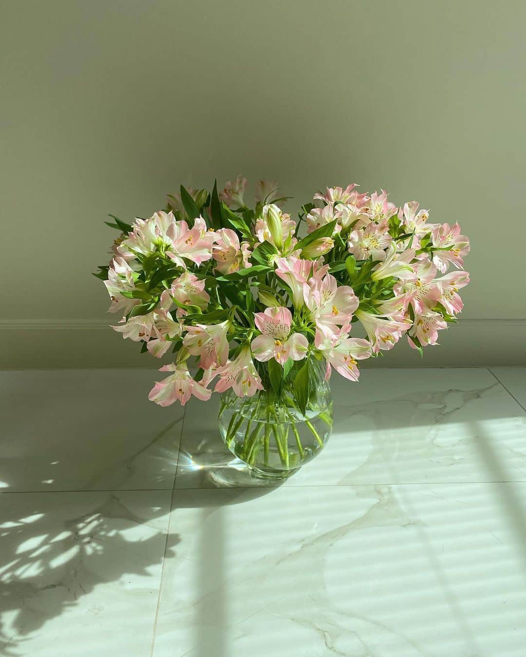 キンバリー・アン・ウォーテマス・ティアムシリのインスタグラム：「Pink Alstroemeria 💗☺️」