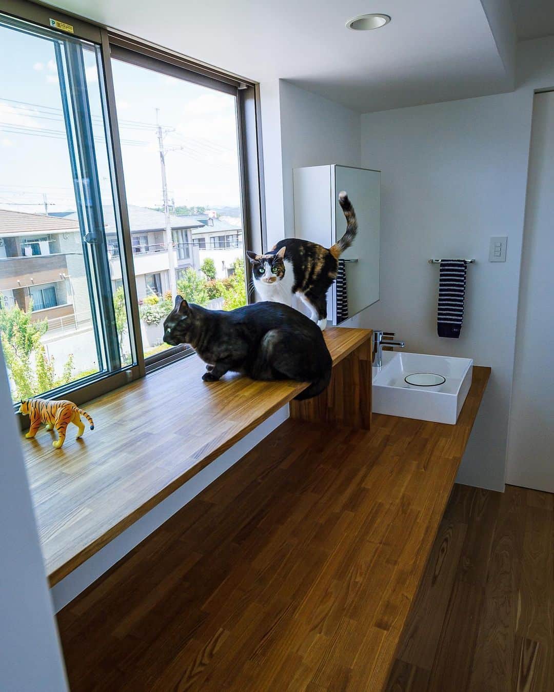 一級建築士事務所hausさんのインスタグラム写真 - (一級建築士事務所hausInstagram)「2階トイレ前の手洗いカウンター、下は猫ちゃんたちのトイレ置き場、上は物見台となっています♪ : ■haus-walk■ 兵庫県神戸市北区 #haus_walk : #ねこのいる暮らし #トイレ #一戸建て #手洗い #カウンター #猫 #ねこのいる生活 #インテリア #設計 #建築家とつくる家 #猫のいる暮らし #中庭のある暮らし #猫との暮らし #リビング #新築一戸建て #ダイニング #注文住宅 #家づくり #設計事務所 #architect #architecture #interior #toilet #cathouse #courtyard #courthouse #catwalk #house #一級建築士事務所haus」6月20日 11時35分 - hausuma