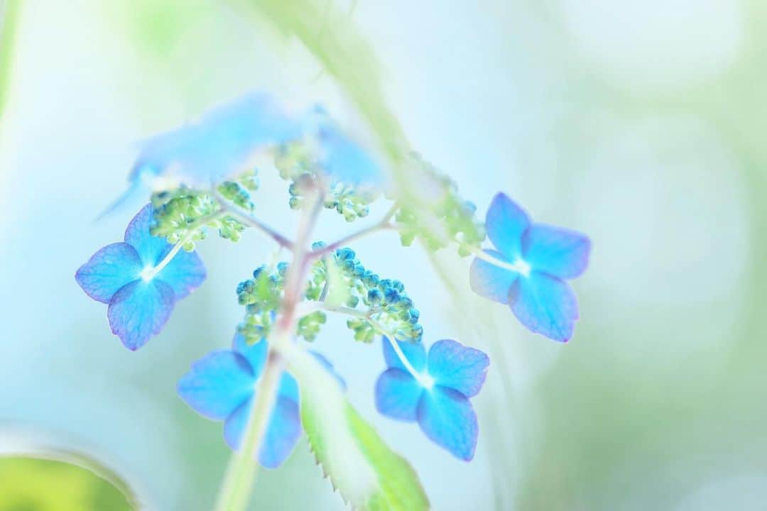 kiccyomuのグルメインスタ