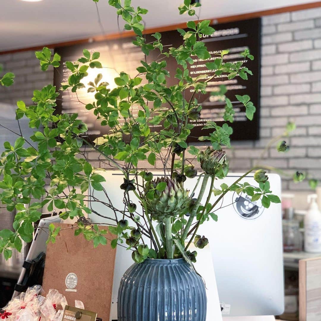 Rachien Smoothieのグルメインスタ