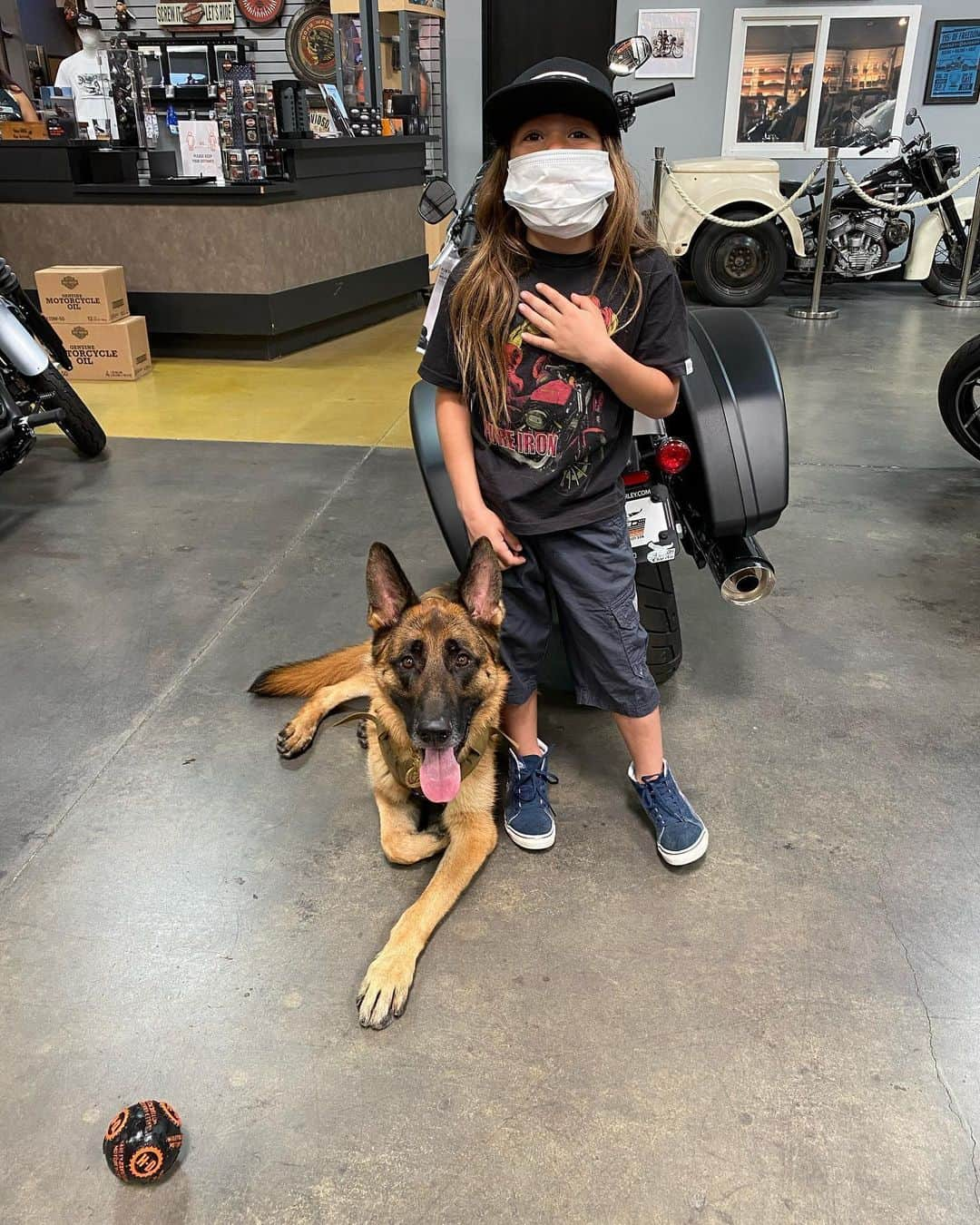 ロバート・パトリックさんのインスタグラム写真 - (ロバート・パトリックInstagram)「Hanging with my best friend all day today @santaclaritaharley #germanshepherd #dog #dogsofi̇nstagram #germanshepherds #ride #fathersday #gifts #santaclarita」6月20日 5時06分 - ripfighter