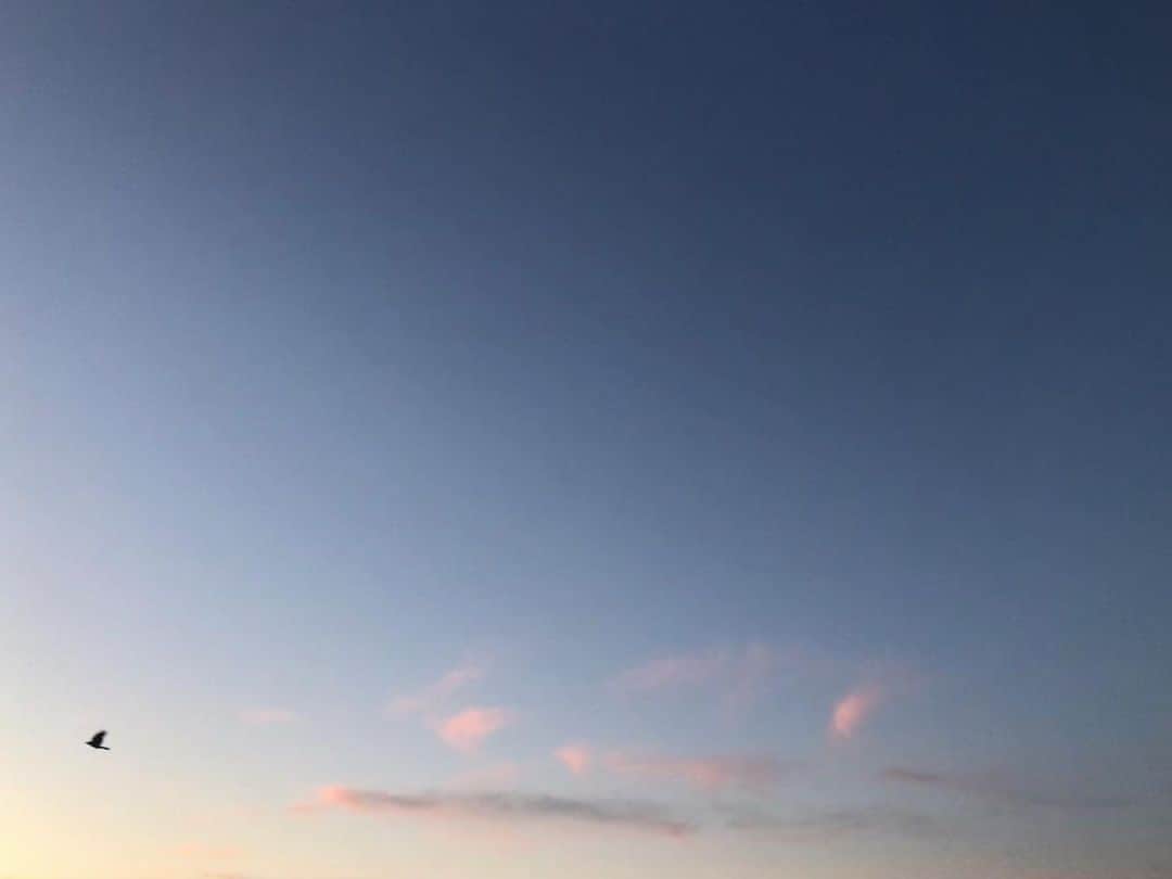 中村靖日のインスタグラム