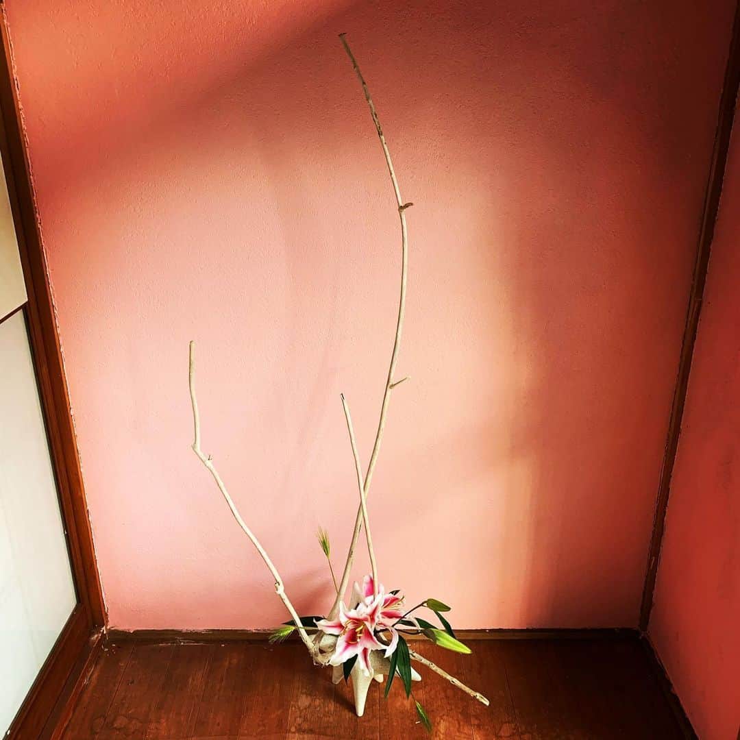 沖野修也さんのインスタグラム写真 - (沖野修也Instagram)「#ikebana #lockdown」6月20日 5時21分 - shuyakyotojazz