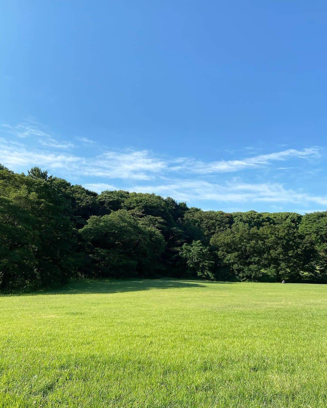 渡辺有子のインスタグラム：「梅雨晴れの朝散歩☀️ 今朝は散歩→朝ごはんにしてみた。どっちがいいかなぁ…。 梅雨の中休み、皆さまもよい週末を。」