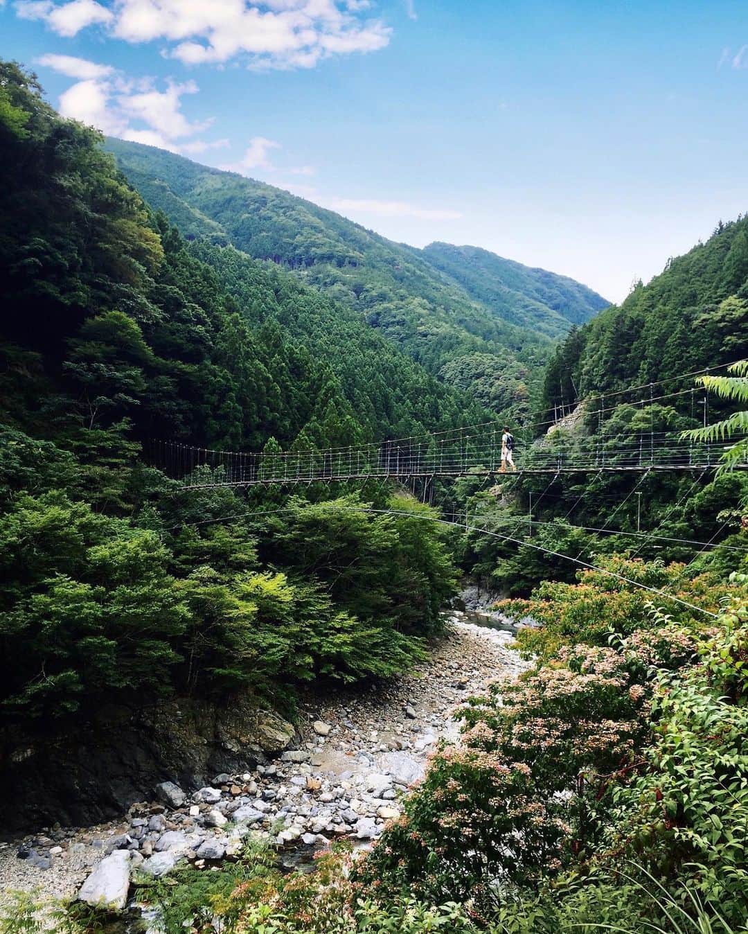 Koichiのインスタグラム：「| 空中散歩 | Aerial walk . #Hellofrom #Nara #BeautifulJapan . #大野出会い橋 #清納の滝 #十津川村 #奈良 #shotoniphone . . まるで綾取りのように細い線。空中を歩いているような感覚になれる吊り橋。すぐ近くに滝もある、奈良 十津川村の秘境。 .」