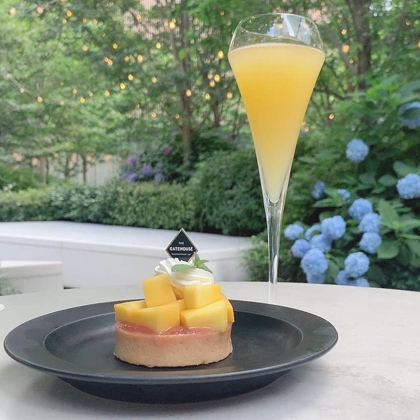 MAYUMIのグルメインスタ