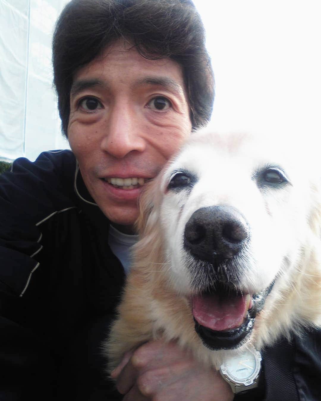 松野行秀さんのインスタグラム写真 - (松野行秀Instagram)「今日はキャンディの祥月命日です🙏 · · · キャンディは、2013年の今日6月20日、享年15才と9ヶ月で旅立ちました。 · · · 〈2013年6月20日の日記〉 · ～～〜～～～～～～～～～ · 今日は、皆さんに悲しいお知らせをしなければなりません。 · 愛犬キャンディが、今朝他界致しました。 · 享年15才と9ヶ月・・・人間の歳に換算して90歳でした。 · 幸いなことに、キャンディの最期をしっかりと看取ることが出来ました。 · 今日は、辛いのでこの辺でペンを置かせて頂きます。 · 永遠の眠りに就いたキャンディ・・・声を掛ければ、今にも起きてきそうな安らかな寝顔です。 · 〜～～～～～～～～～～～ · · 私とキャンディは、キャンディが生後3ヶ月の時に都内のペットショップで出逢いました。 · · 抱っこしたとたんに、無心に私の顔をペロペロ舐めてきた人懐こいキャンディに即座に心を奪われました。 · · 都内でキャンディと一緒に暮らし始めた当時、私は離婚騒動の渦中という試練の中に身を置いておりました。 · · しかし、どんなに辛いことや嫌なことがあっても、家に戻ってキャンディのあどけない顔を見ているうちに、私はいつも心が癒されました。 · · 騒動の後、私とキャンディは出身地である福島に移住することになりました。 · · 福島に移ってからもキャンディには色々と心配を掛けっぱなしでしたが、キャンディはいつも傍らで優しく私を見守っていてくれました。 · · 出逢った時はあどけない赤ちゃんだったキャンディが、いつの間にか私の年齢を飛び越えて、そして最期は私より早く逝ってしまいました。 · · · キャンディを喪ったばかりの頃は、ワンちゃんの寿命の短さを恨めしく思ったこともありましたが、でも、お陰様で今はキャンディを失った淋しさよりも、キャンディと共に過ごせたことに対する感謝や喜び、そして、キャンディとの楽しかった思い出と共に毎日を過ごすことが出来るようになりました。 · · · キャンディの遺骨は、納骨せずに、今も自室の祭壇で手厚く供養させて頂いております。 · · · 『願以此功徳　普及於一切　我等與衆生　皆共成仏道』 · 覚念行秀  合掌 · · · (ＪＫＣ発行の国際公認血統証明書より) 〈犬種〉 ・ゴールデンレトリバー 〈登録番号〉 ・RG-46839/97 〈性別〉 ・メス 〈毛色〉 ・ゴールデン 〈繁殖者〉 ・TETSUYA HIRONAKA(TOYOHASHICITY) 〈譲渡年月日〉 ・1997年11月1日 〈所有者〉 ・YUKIHIDE MATSUNO 〈登録日〉 ・1997年12月8日 〈生年月日〉 ・1997年9月3日 〈出産頭数〉 ・オス4 ・メス3 〈父〉 ・1992年2月23日生まれ（毛色ゴールデン) ※父方は３代続きのチャンピオン(AM) 〈母〉 ・1993年12月15日生まれ（毛色ゴールデン) 〈犬名〉 ・シグナス オブ トヨハシ ヒロナカ ＪＰ（その後キャンディ オブ フクシマ マツノＪＰ)」6月20日 19時27分 - g.matsuno