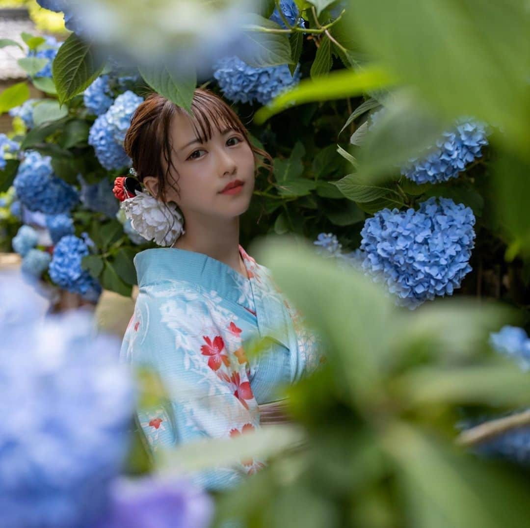 塚本美玲のインスタグラム：「浴衣と紫陽花。﻿ 浴衣と着物の時は、なで肩でよかった💭﻿ ﻿ ﻿ ﻿ ﻿ ﻿ 浴衣　@kamakura.kimono.kanon  photo by @shin.photogram ﻿ ﻿ #紫陽花#浴衣#浴衣女子#夏#ポートレート#撮影#hydrangea #portrait#yukata#photography」