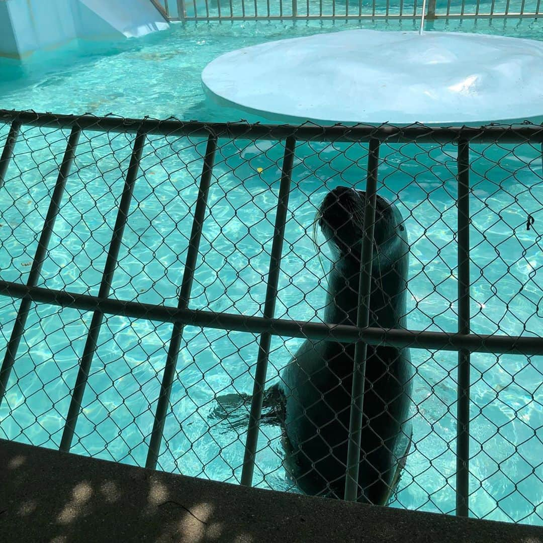 竹下佳江さんのインスタグラム写真 - (竹下佳江Instagram)「#姫路城 #姫路市動物園 #大人210円子供30円 #お財布に優しい #週末は子供時間 #お外に出られる幸せ #あたりまえがあたりまえじゃない #感謝 #ソーシャルディスタンス  みなさんお休みはどんな過ごし方をされてますかぁ？」6月20日 19時54分 - takechanman0318