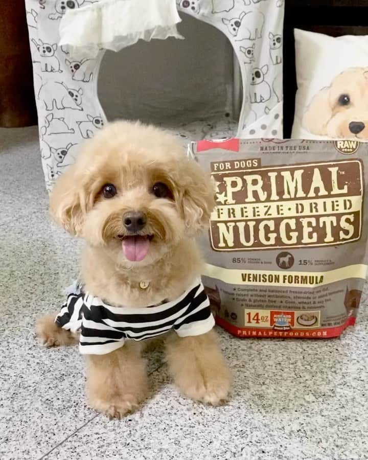 Truffle??松露?トリュフのインスタグラム